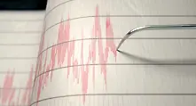 Земетресение с магнитуд 5,3 по Рихтер разтърси Южен Иран