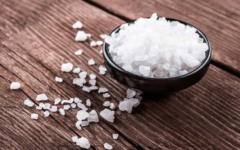 Любопитни факти за солта