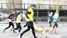За първи път незрящ мъж пробяга полумаратона в Ню Йорк, воден от кучета