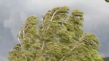 Вятър със скорост 250 км/ч връхлетя Австралия