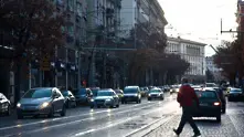 Камион събори дърво на булевард Дондуков в София