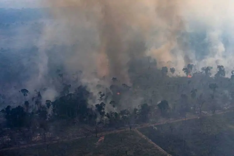 Бразилия ще приеме чуждестранна помощ в борбата срещу пожарите в Амазония