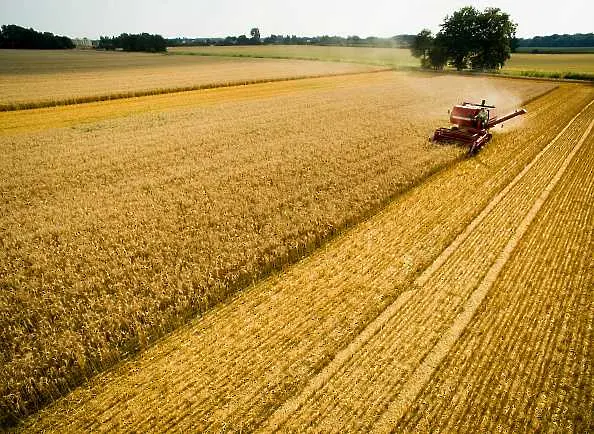 Нов рекорд на световното потребление на зърно се очаква догодина