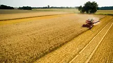 Нов рекорд на световното потребление на зърно се очаква догодина