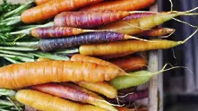 Морковите са полезни за всички и най-вече за бременни и бебета