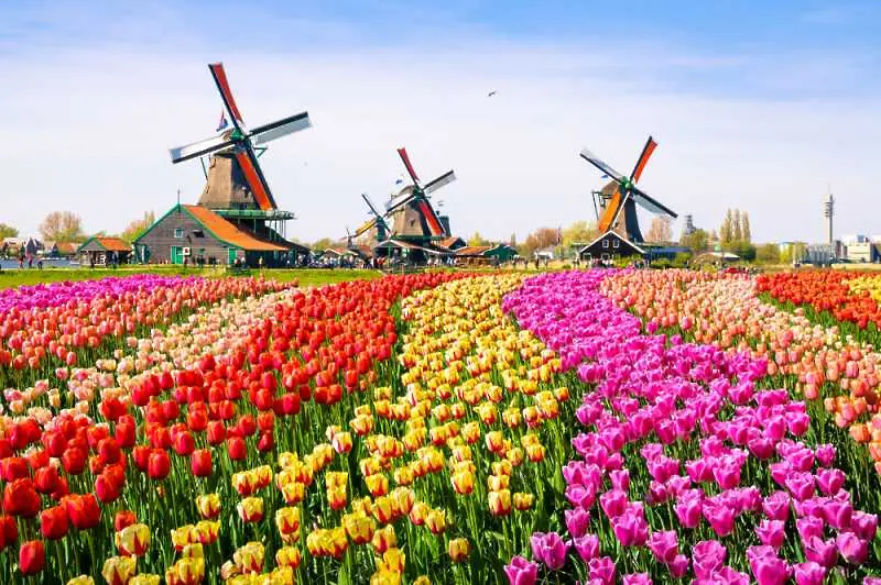 Нидерландия реши да се откаже от името Холандия