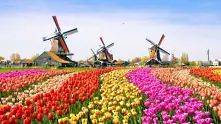 Нидерландия реши да се откаже от името Холандия
