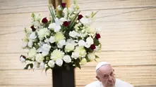 „Понякога дори и аз губя търпение“: Папа Франциск се извини, че удари жена по ръката