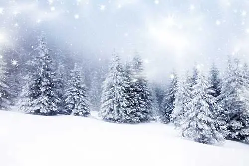 Времето: Жълт код за снеговалежи и вятър в 13 области на Източна България