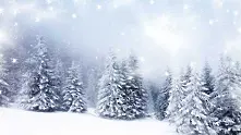 Времето: Жълт код за снеговалежи и вятър в 13 области на Източна България