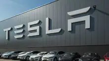 Германски съд разреши на Tesla да продължи разчистването на терена за завод край Берлин