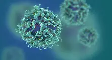 Британски учени откриха имунни клетки, които могат да неутрализират коронавируса