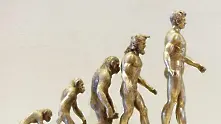 Еволюцията на човека - повече от сложно към просто, отколкото обратното