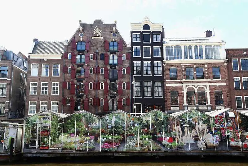 Милиони цветя се унищожават всеки ден в Нидерландия