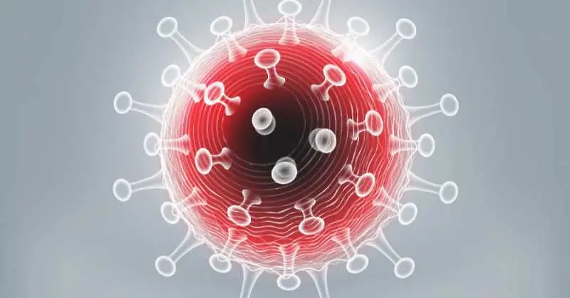 8-а жертва на COVID-19 у нас, а регистрираните случаи са 338