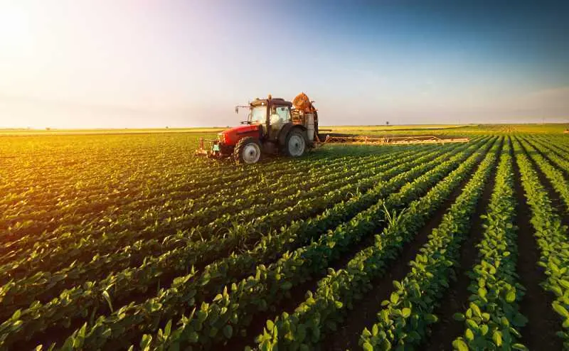 Албания възобновява дейностите в селското стопанство и част от търговията на дребно