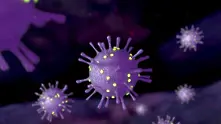 Адам Кучарски: Как можем да контролираме пандемията от коронавирус?