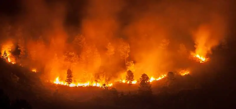 Над 8 хил. души са евакуирани заради огромен горски пожар в Калифорния