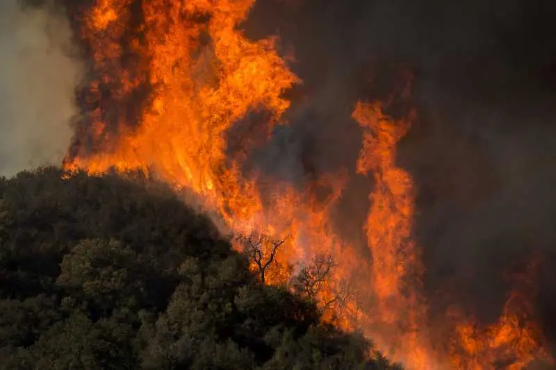 Десетки хиляди души бяха евакуирани заради бушуващите в Калифорния пожари