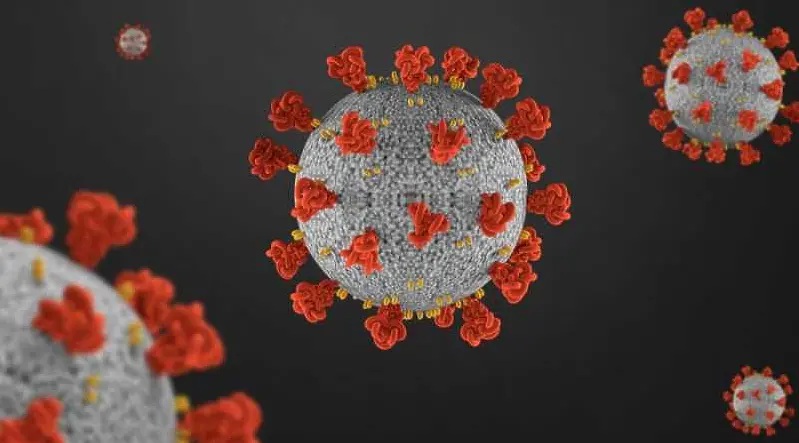 Излекуваните от коронавирус повече от новите случаи 