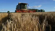 Танева: Добивът на пшеница тази година е достатъчен за изхранването на населението