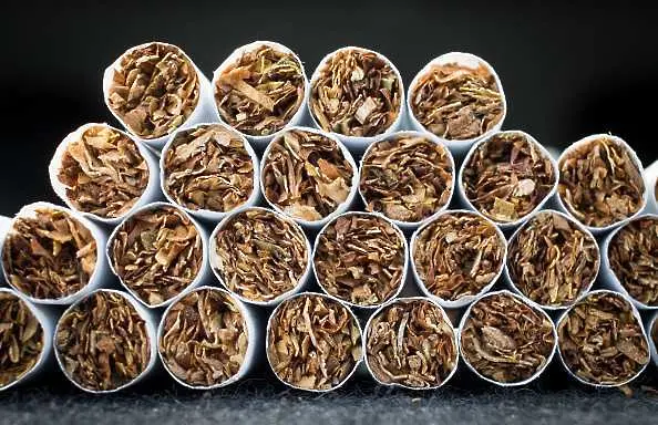 Спад с около 15-20% бележи производството на тютюн