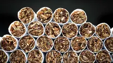 Спад с около 15-20% бележи производството на тютюн