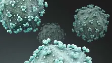 Учени пресъздадоха в епруветка начина, по който ХИВ заразява клетките
