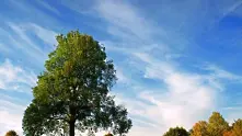 Времето: Слънчево, но все още хладно