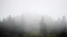 Времето: Облачно и мъгливо, на места с валежи от дъжд