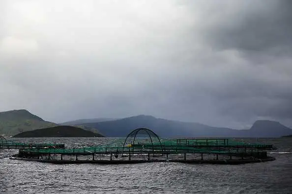 Норвегия заплаши да затвори водите си за риболовни кораби от ЕС и Великобритания