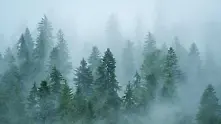 Времето: Отново облачно и мъгливо