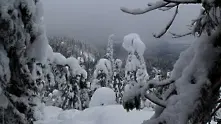 Времето: Облачно и мъгливо