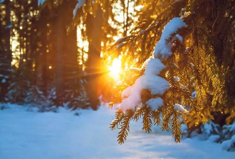 Времето: Слънчево, на места до 13°