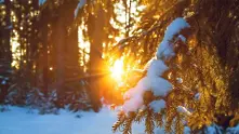 Времето: Слънчево, на места до 13°