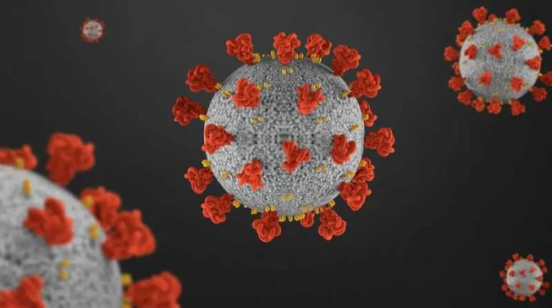 Спад в броя на новите случаи на коронавирус за денонощието