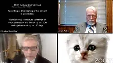 Филтър в Zoom превърна адвокат в котка по време на съвещание