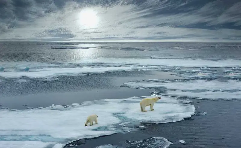 Ледът край арктическите брегове се топи два пъти по-бързо от очакваното
