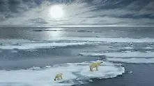 Ледът край арктическите брегове се топи два пъти по-бързо от очакваното