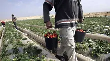 Земеделската работа на открито в Южна Италия бе забранена след смърт 