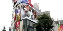 Гигантска 3D котка смая Токио