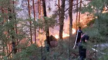 Пожар край Сандански взе жертви, евакуират хора заради огнена стихия край Старосел