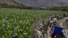 Талибаните обявиха победа в провинция Панджшир