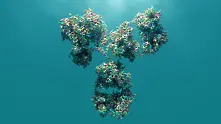 Учени откриха изключително силно антитяло срещу SARS-CoV-2