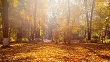 Времето: До минус 2 градуса сутринта