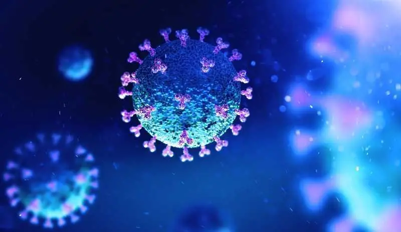 2004 са новите случаи на коронавирус