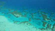 Австралия дава 700 млн. долара за защита на Големия бариерен риф