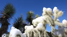 Сняг в пустинята