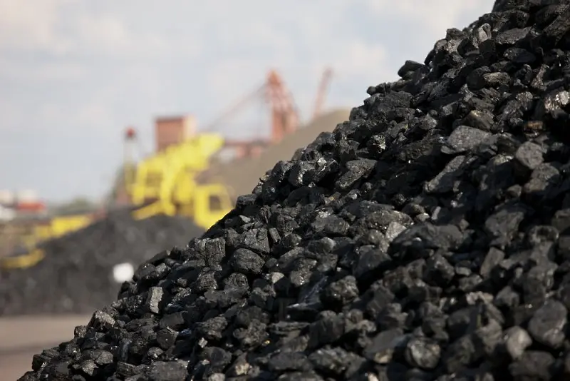 Малко над 227 тона въглища са изтеглени от пазара през 2021 г. 