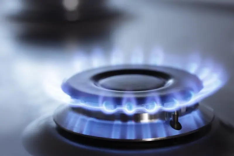Булгаргаз: Информацията за продадени 60 000 MWh газ на определени фирми не отговаря на истината
